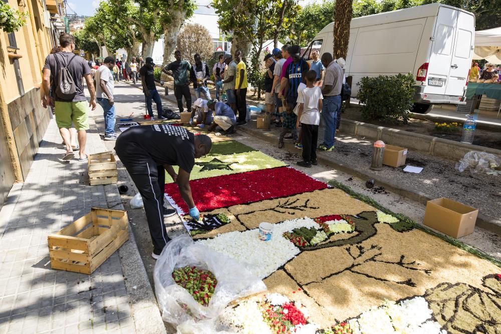 El concurs de catifes de flors naturals omple Arbúcies