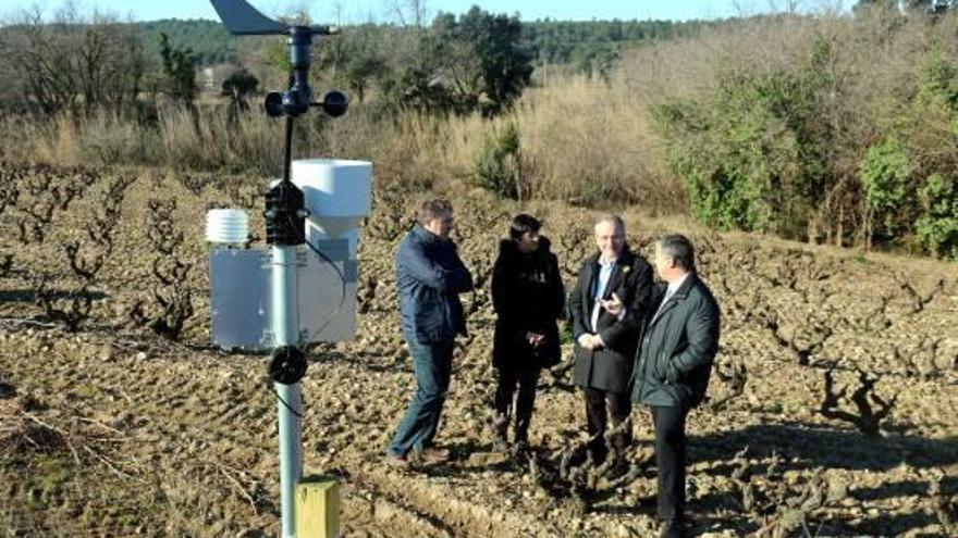 Una de les estacions instal·lades a Masarac; al fons, representants de la DO, Agricultura i la Diputació.