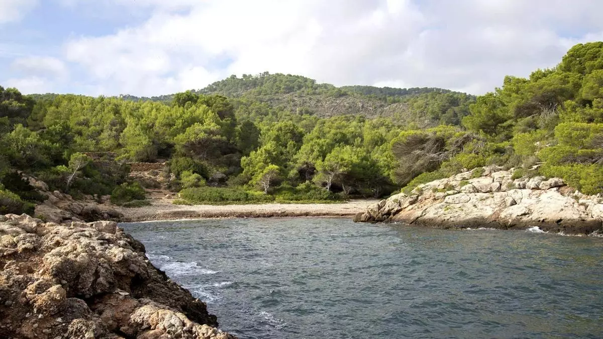 On foot, running or cycling: an easy route to one of Ibiza’s lesser-known beaches