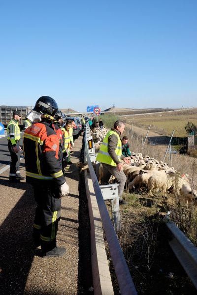 Accidente en la A-11