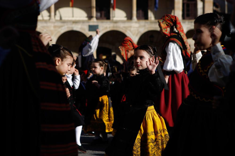 Celebración del Día de la Danza