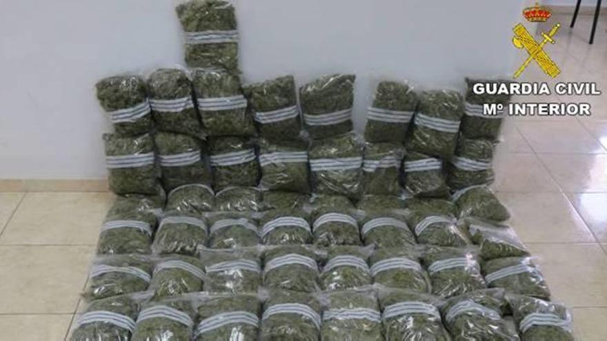 Parte de los 30 kilos de cogollos secos de marihuana incautados en El Campello.