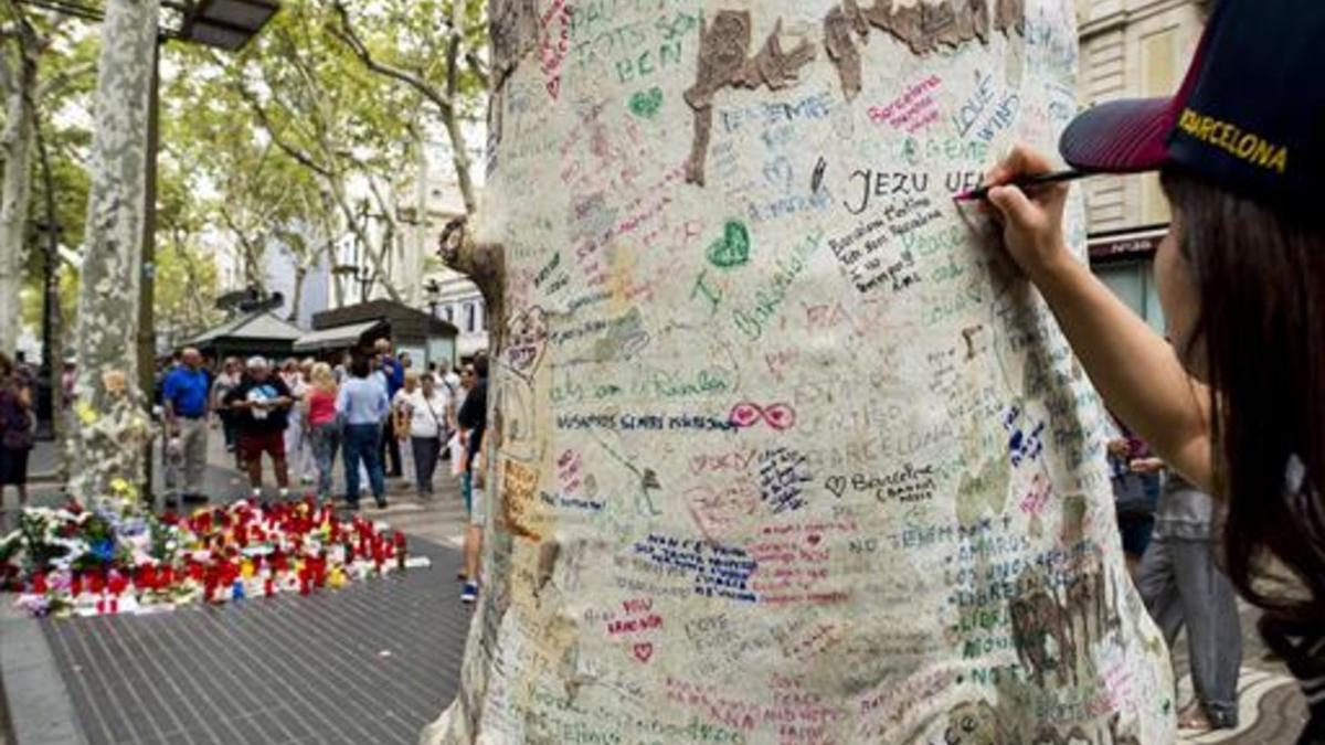 CONSUELO. Una chica escribe un mensaje en uno de los plátanos de la Rambla.