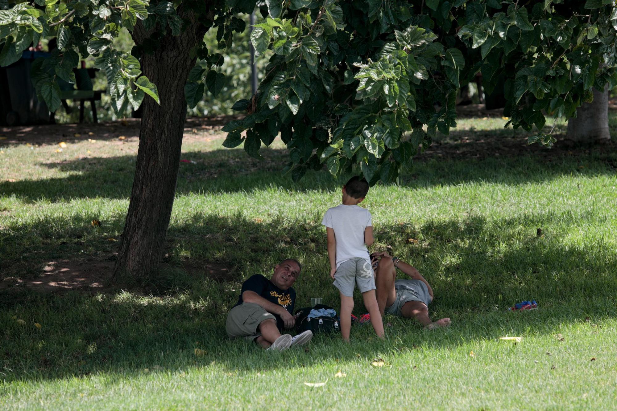 La ola de calor sigue con máximas de 44 ºC