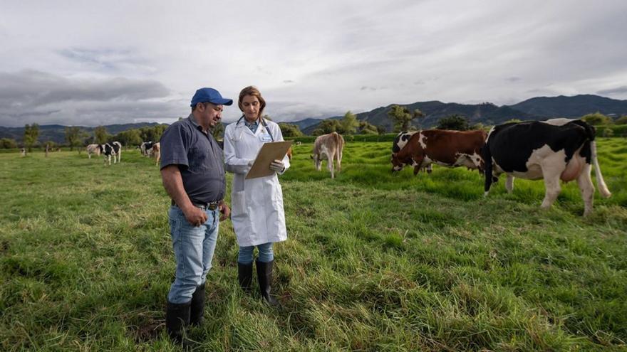 Veterinaria de campo asesorando a un ganadero