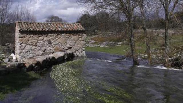 Arroyo a su paso por el municipio de Fariza de Sayago en una imagen de archivo. | ARCHIVO