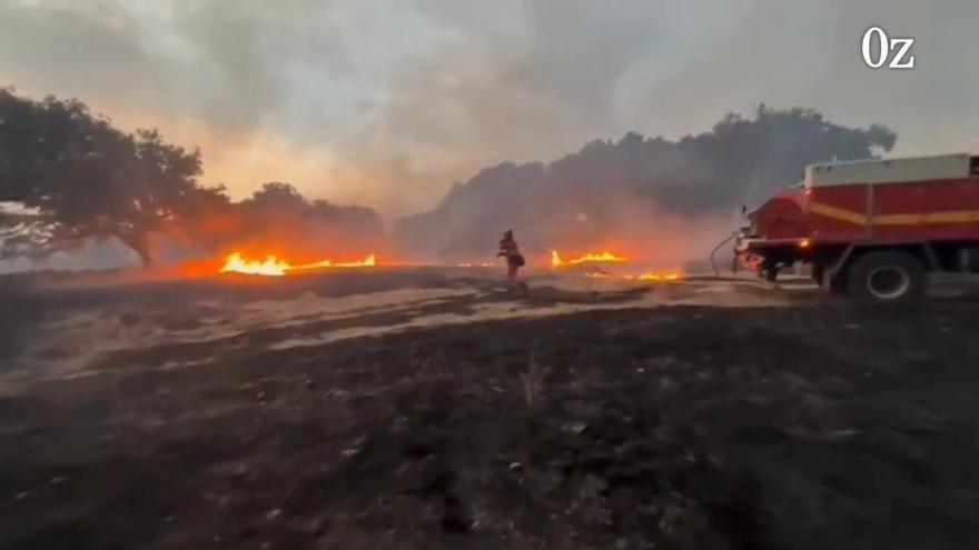 Efectivos de la UME trabajan durante la noche para sofocar el incendio de Fermoselle