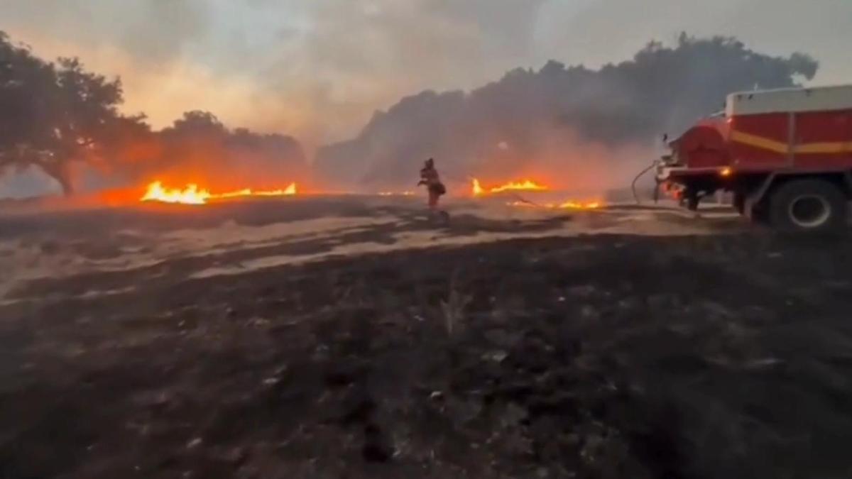Efectivos de la UME trabajan durante la noche para sofocar el incendio de Fermoselle
