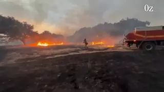 La banalización (política) de los incendios