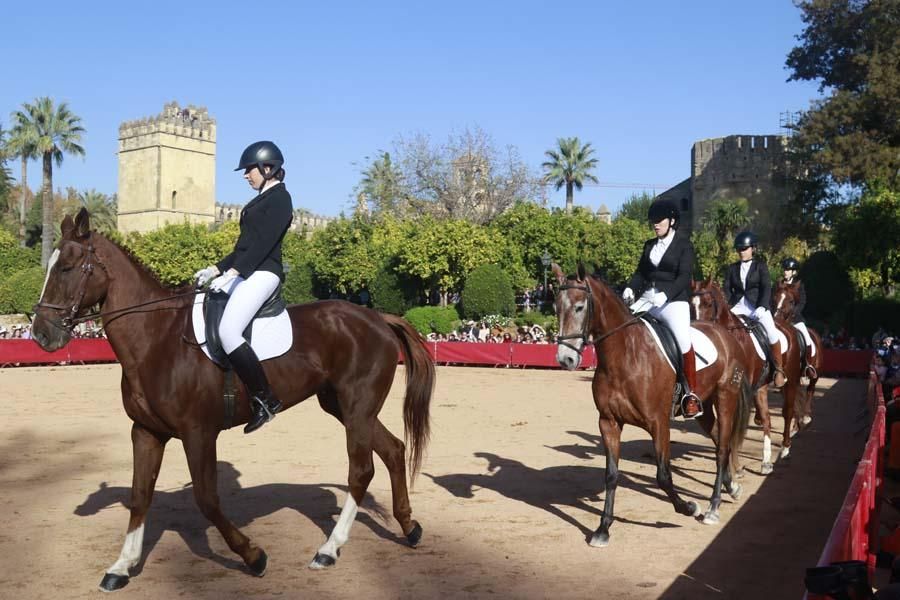 Caballos en el Alcázar