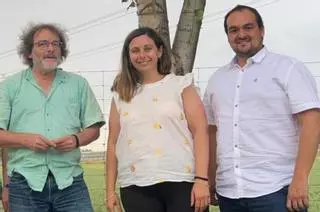 Expertos de la UMU y la UPM describen por primera vez cómo los olivos economizan agua