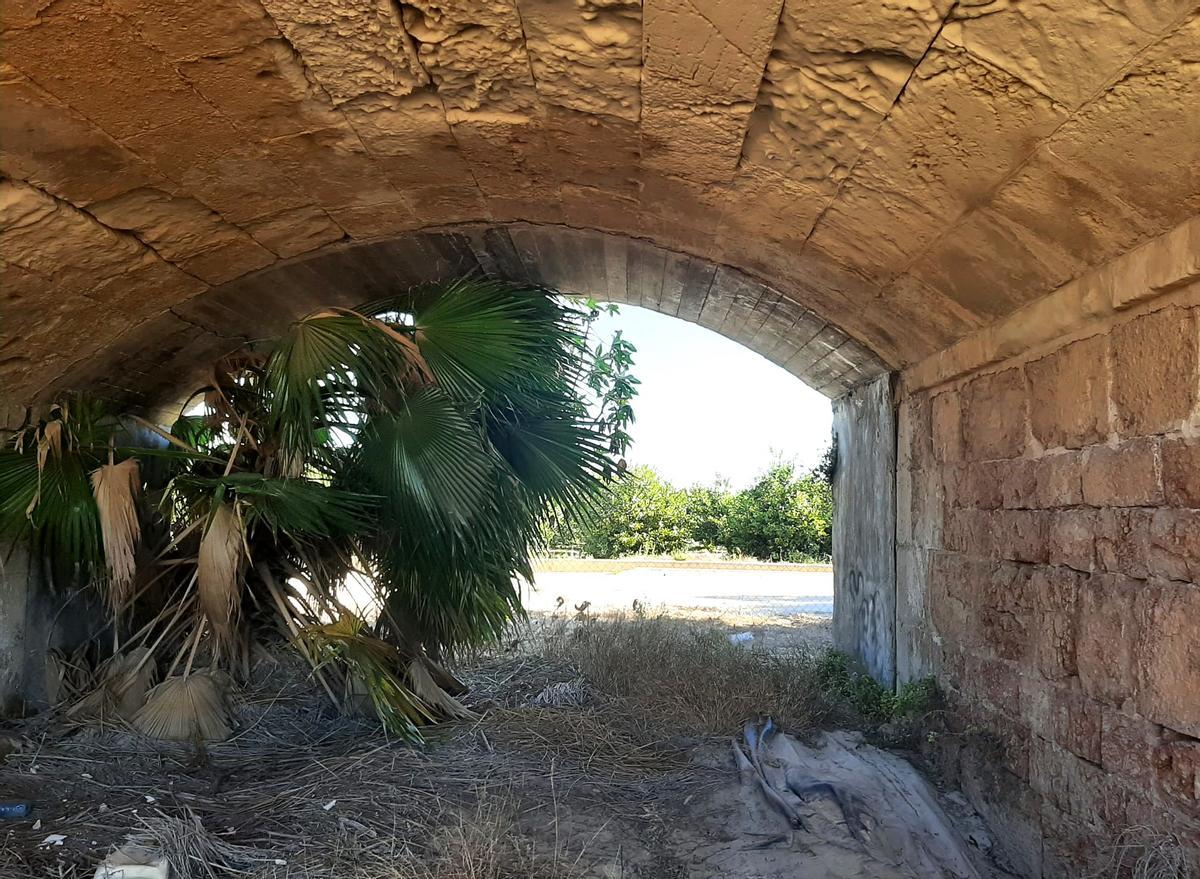Una palmera ha crecido en uno de los ojos del puente, lo que puede provocar la obstrucción de la evacuación en caso de lluvias torrenciales