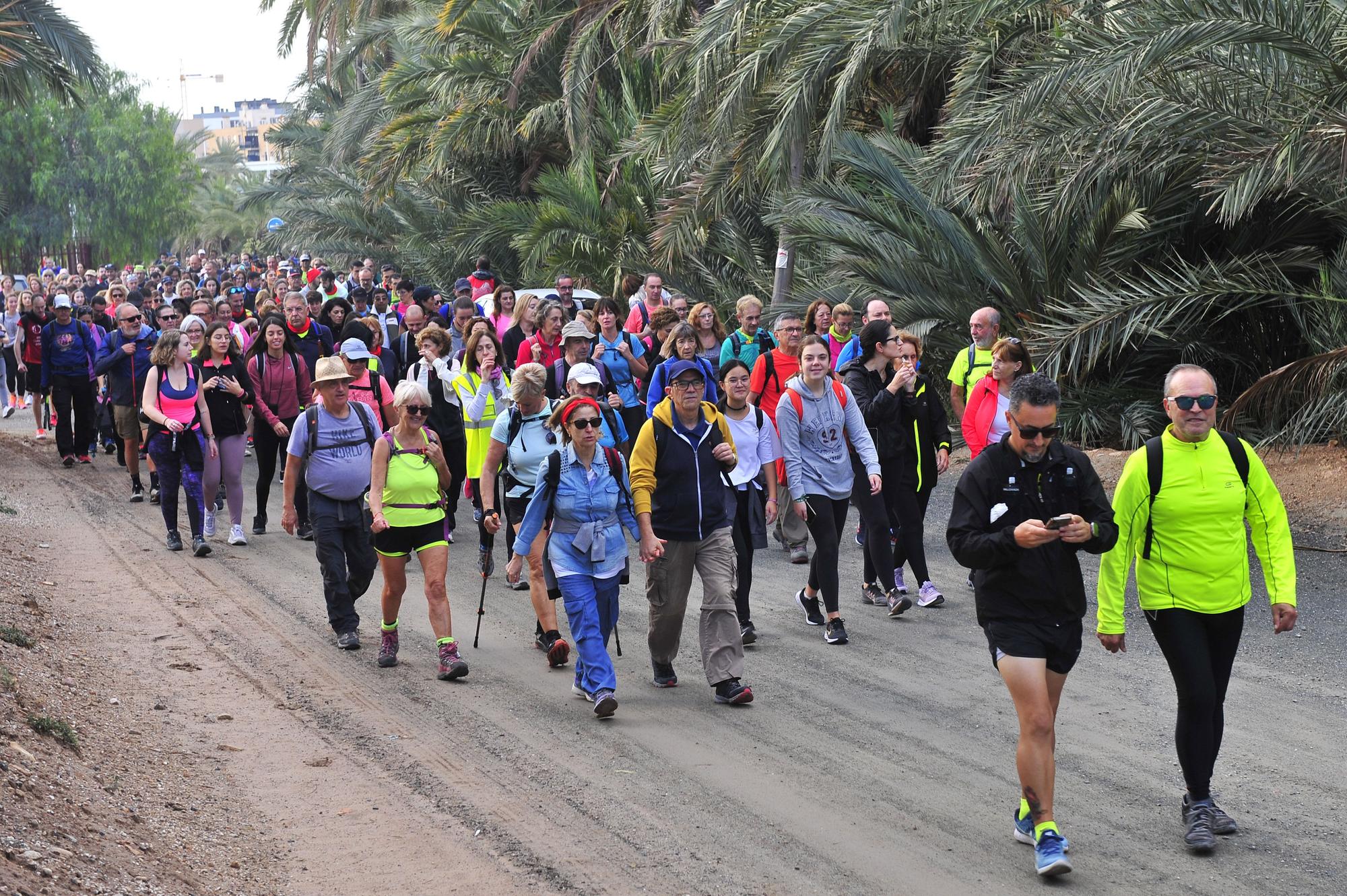 Ruta de les Ermites del Camp d’Elx