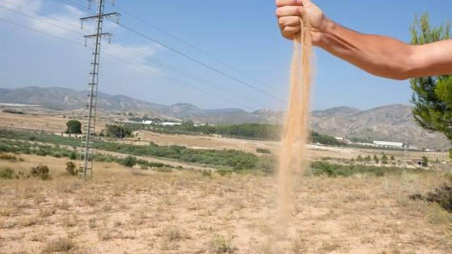 El arenal de Elda es un enclave muy poco conocido por la ciudadanía.