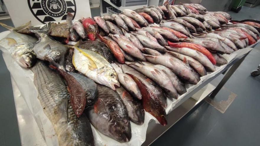 La Policía Autonómica requisa 40 kilos de pescado capturados con un arte ilegal