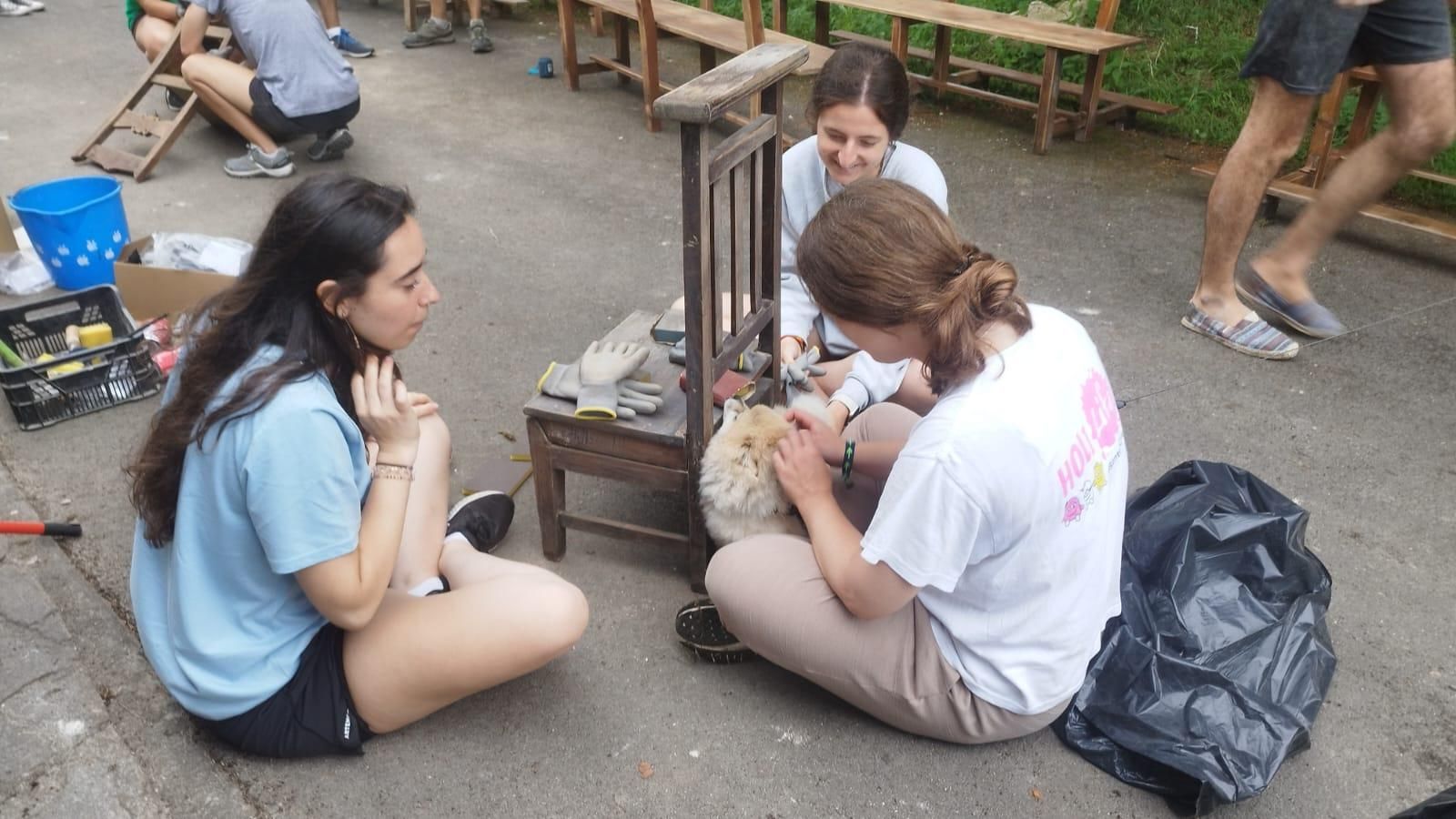 Más de medio centenar de jóvenes voluntarios de Madrid ayudan a recupera el patrimonio de Cabrales