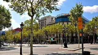 El calor extremo reduce la eficacia del arbolado para refrescar las ciudades, alerta un estudio