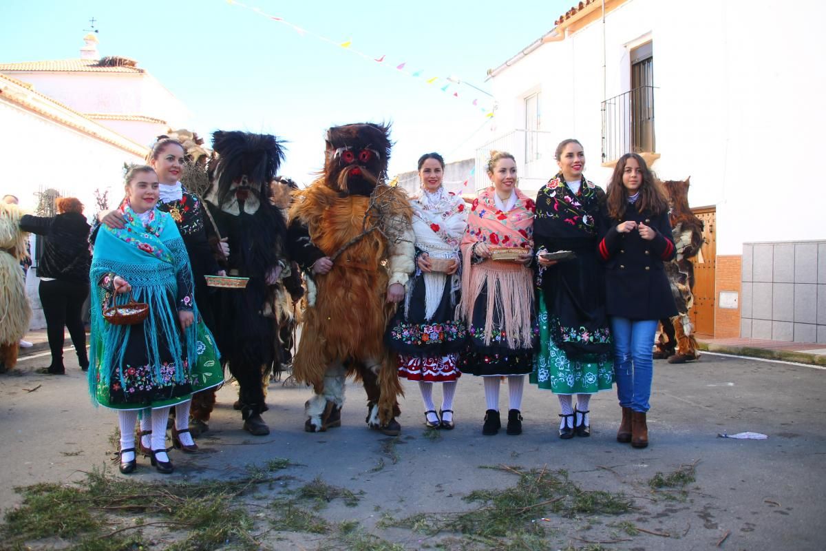 Las Carantoñas de Acehúche 2019