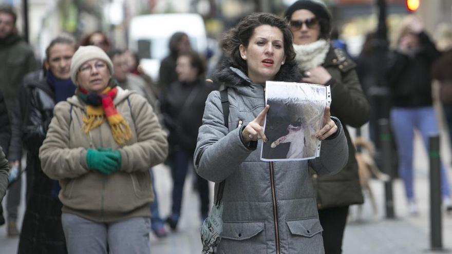 Protesta contra el maltrato de gatos