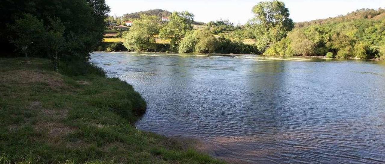 Una imagen de la playa fluvial de Barcala, que se preparará para el verano el 30 de abril. // Bernabé / Cris M.V.