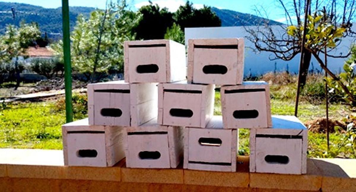 Cajas nido antes de su instalación.