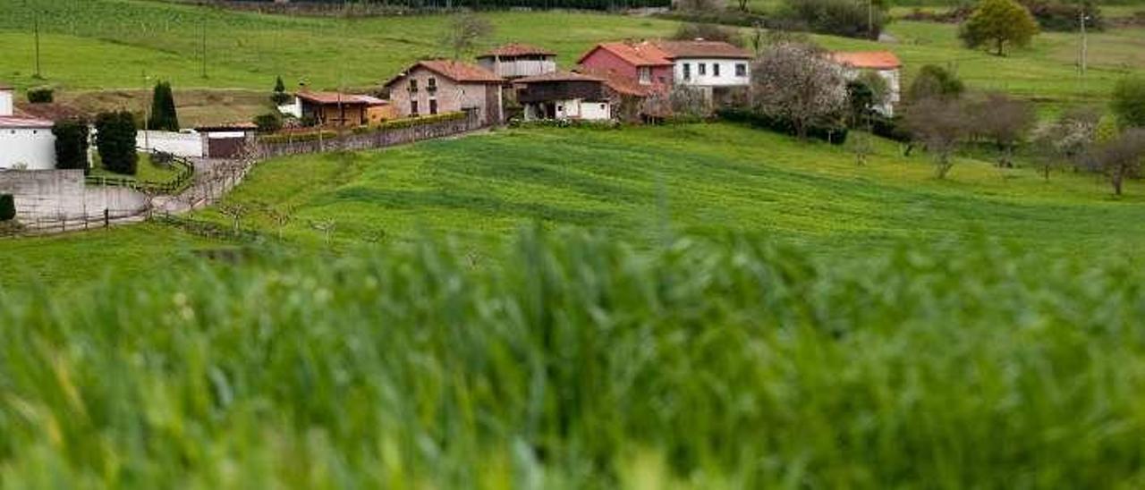 Zona rural en el concejo de Castrillón.