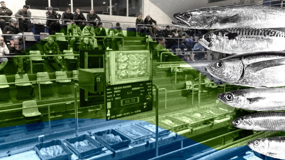 Una pescadería avilesina, en el ranking de las mejores de España: "Restaurantes con estrella Michelin de Asturias confían en ellos"