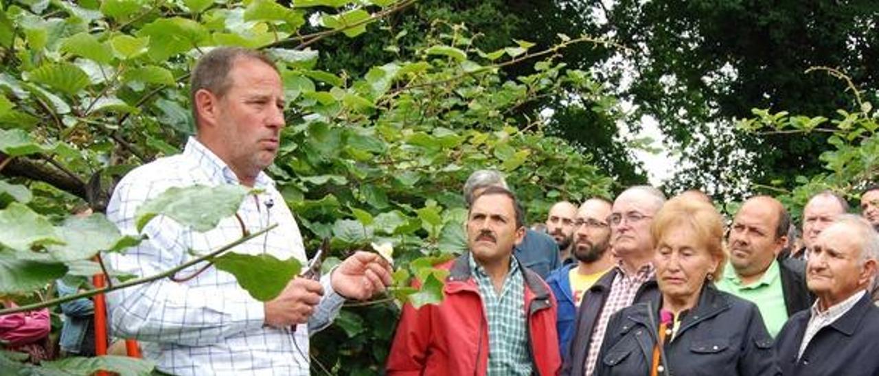 García enseña a distinguir las flores masculina y femenina.