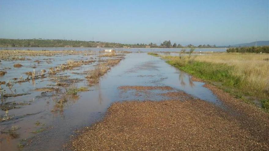 El desbordamiento del río Guadámez inunda 500 hectáreas en Don Benito