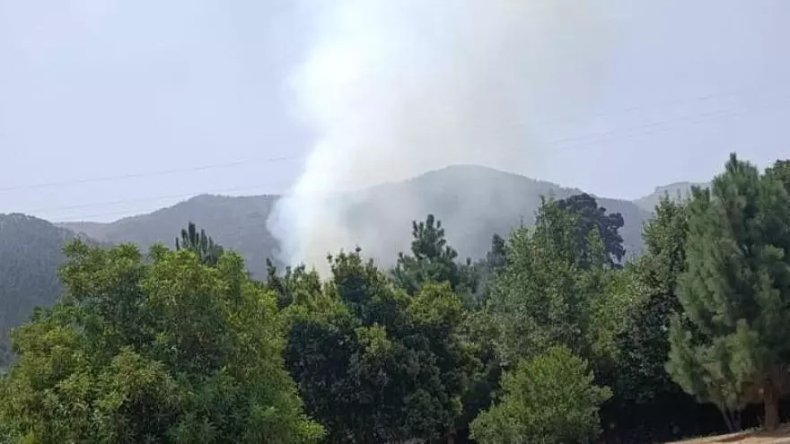 Estabilizado el conato de incendio declarado este lunes en Pinolere (La Orotava)
