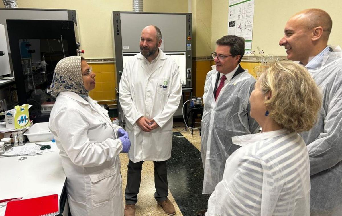 El Centro Ibérico de Energía cuenta con 108 investigadores de 26 países | JUNTA DE EXTREMADURA