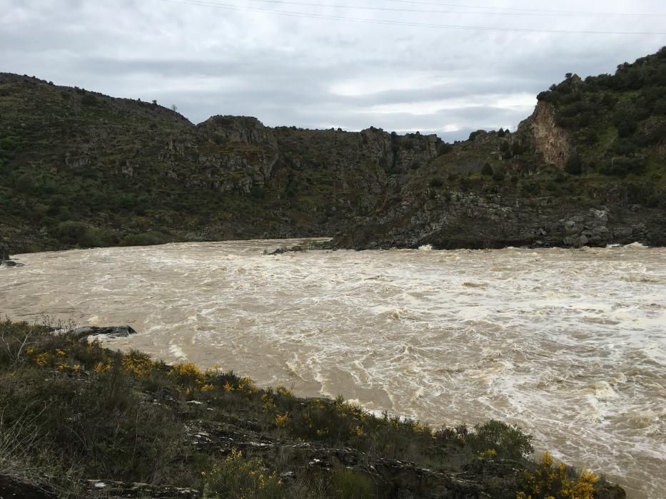 Las presas de Zamora abren los aliviaderos