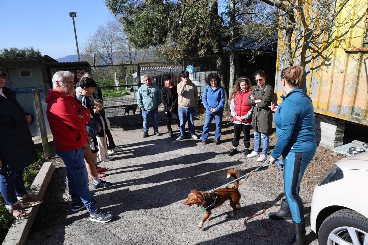 Un paseo por una buena causa: la protectora Os Biosbardos y FARO se unen en la suscripción solidaria