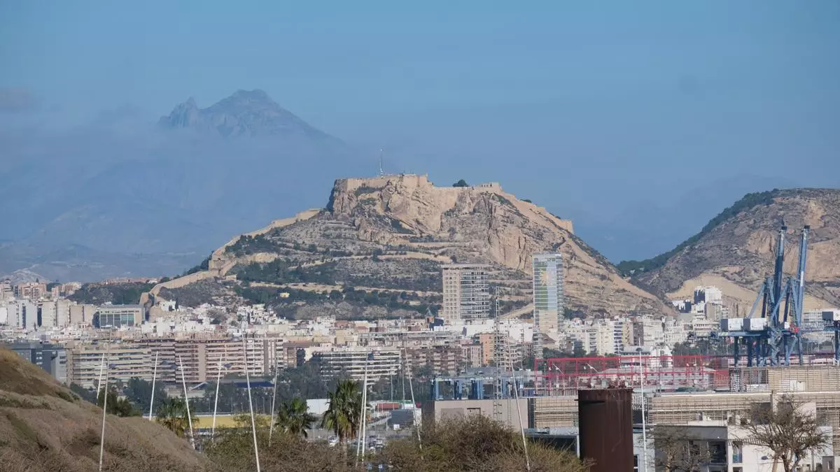 Los dos animales más comunes presentes en Alicante que muchos siempre confunden
