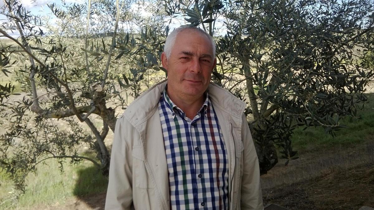 José Antonio de la Torre en una parcela de olivos en Fermoselle