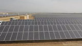 Las plantas fotovoltaicas copan todo el trabajo de Medio Ambiente