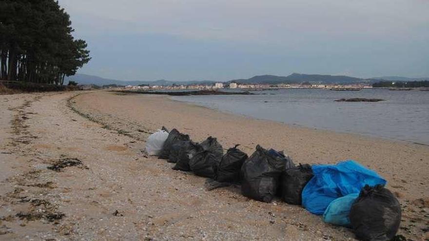 Sacos de plásticos y residuos recogidos en una campaña. // FDV