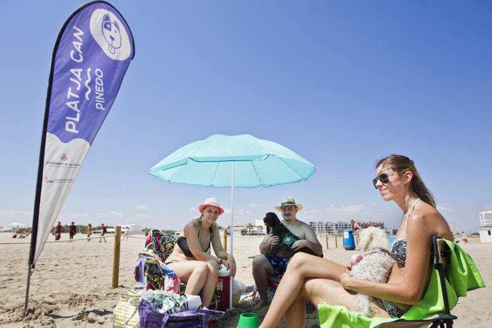 La playa para perros de Pinedo, a reventar