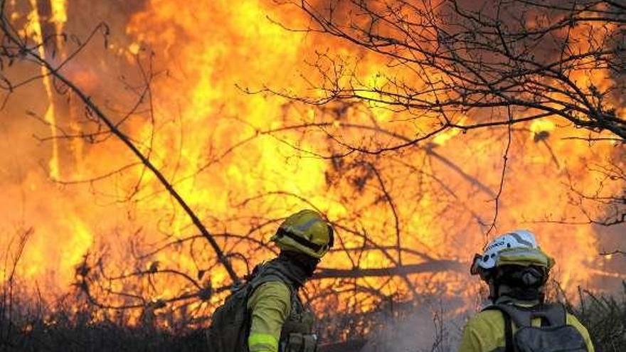 Bomberos forestales de la Xunta en un fuego en A Xesta. // Bernabé/J.Lalín