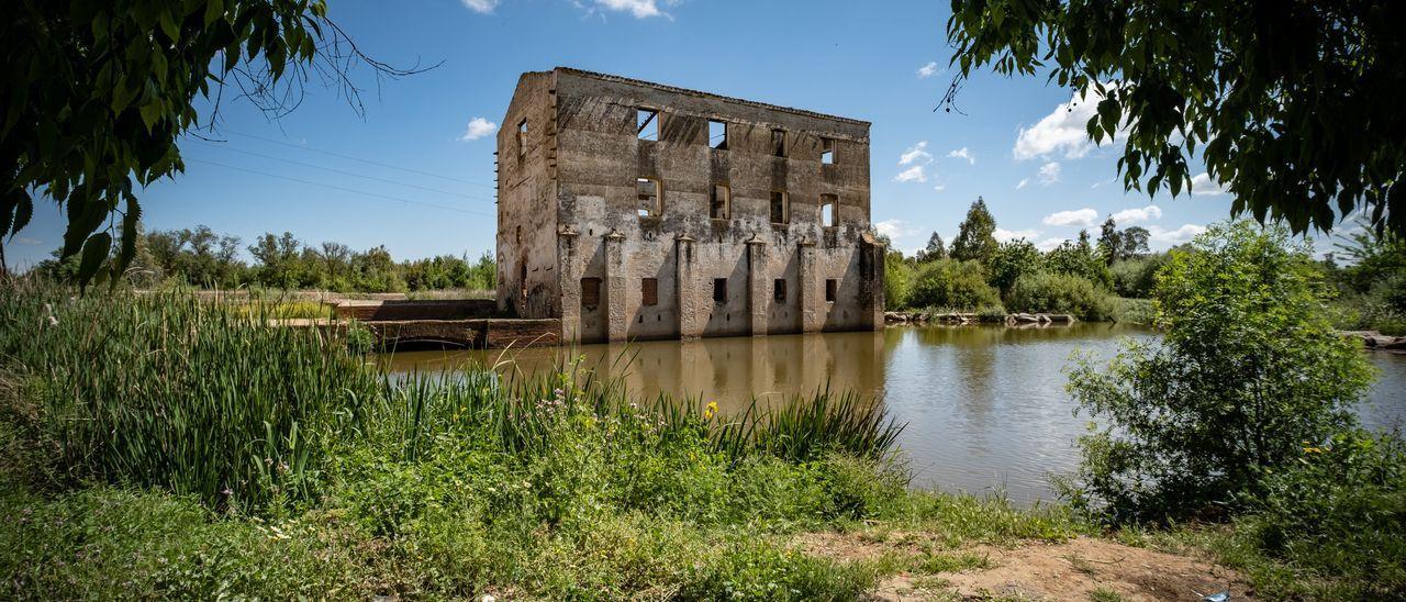 El molino de los Moscoso de Badajoz será un centro de interpretación de la fauna del Guadiana