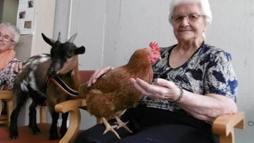 Una resident, acompanyada d&#039;una gallina i una altra, d&#039;una cabra.