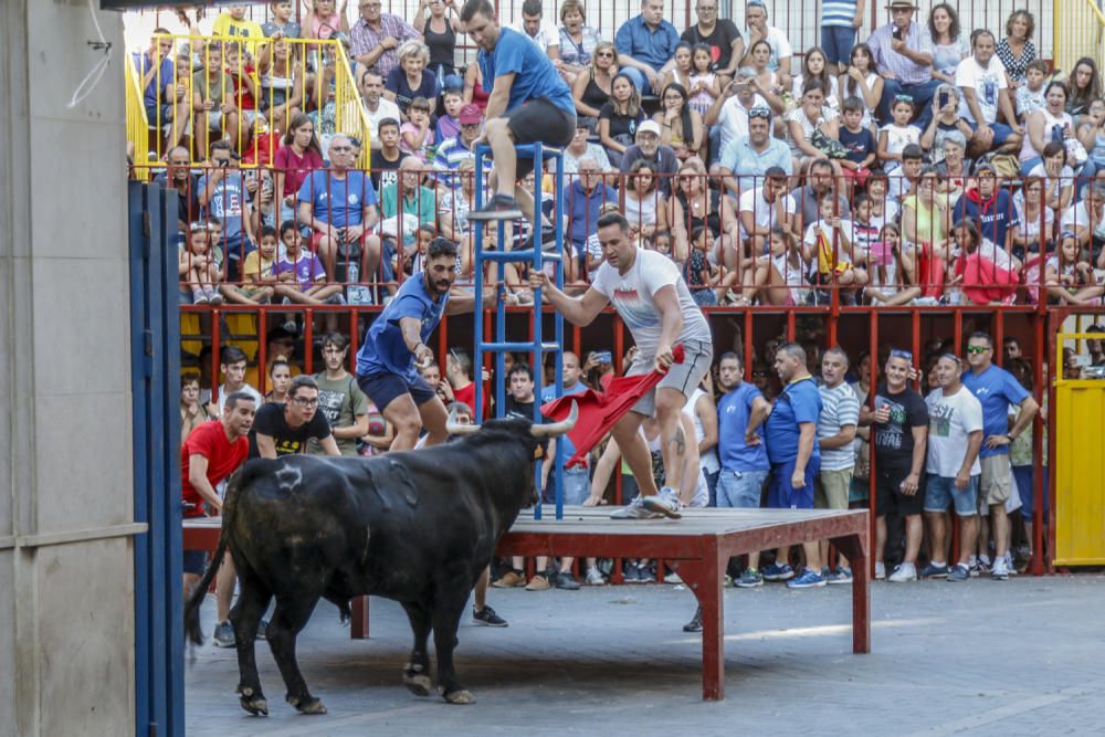 Fiestas de la Vaca de Castalla.