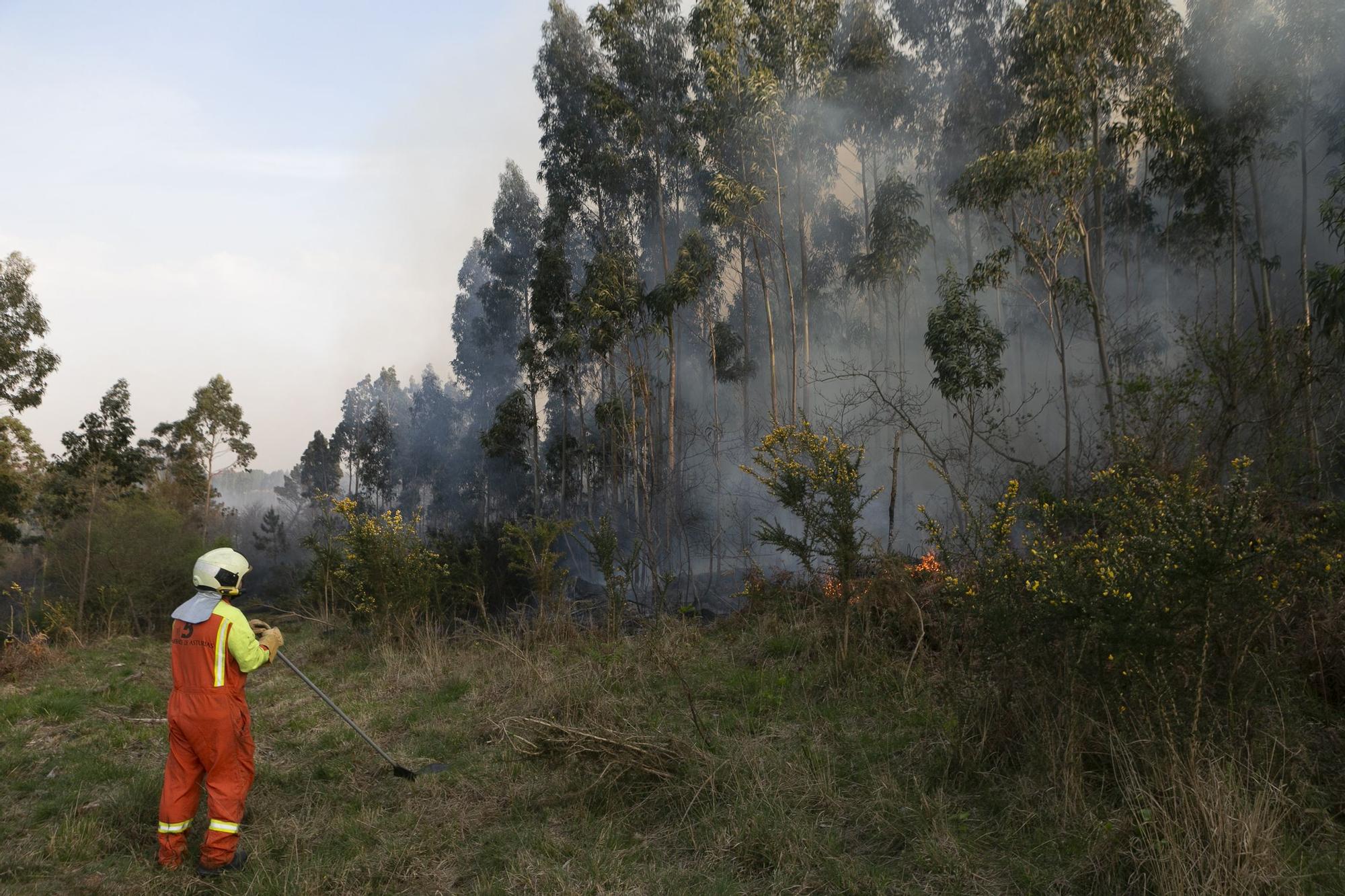 El fuego llega a la comarca de Avilés y se adentra en la Plata (Castrillón)