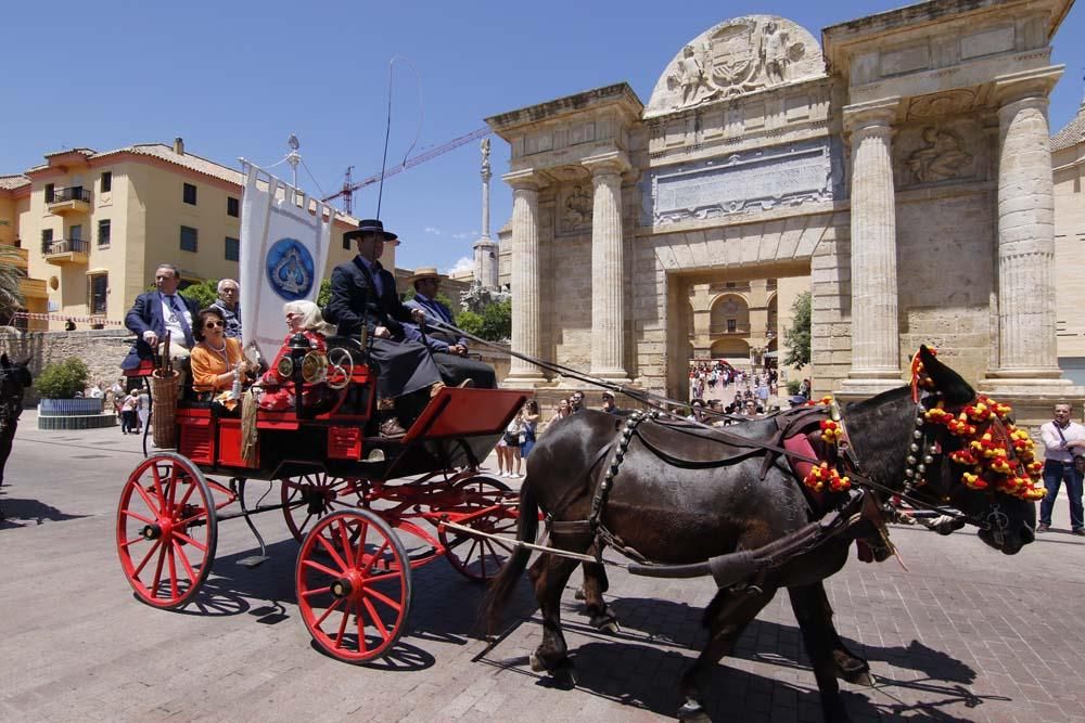 Exhibición de carruajes de tradición en El Arenal