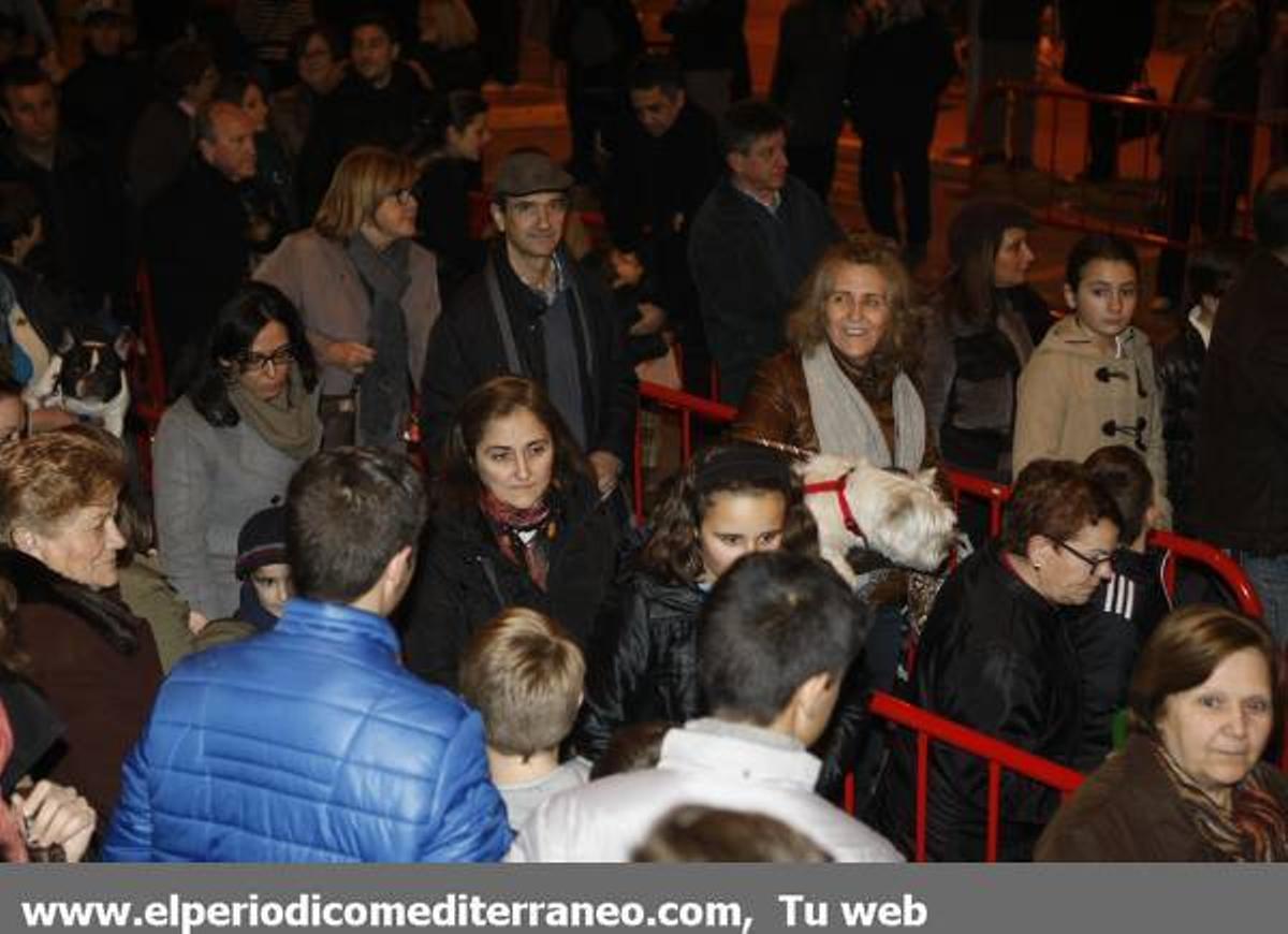 GALERÍA DE FOTOS - Bendición de los animales por Sant Antoni en Vila-real