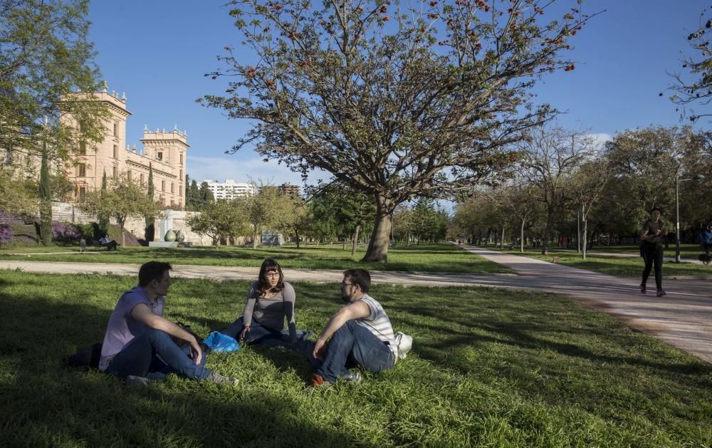 Actividades en el jardín del Túria, el antiguo cauce del río en València.