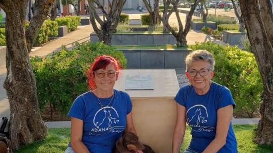 Adana y El Faro impulsan una iniciativa pionera para proteger una colonia felina en Badajoz