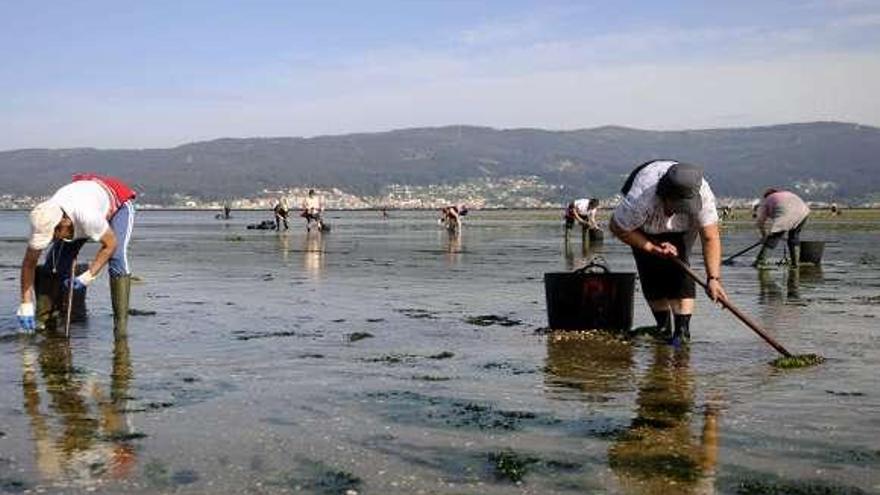 Un grupo de mariscadoras trabaja en la ría de Pontevedra. / noe parga