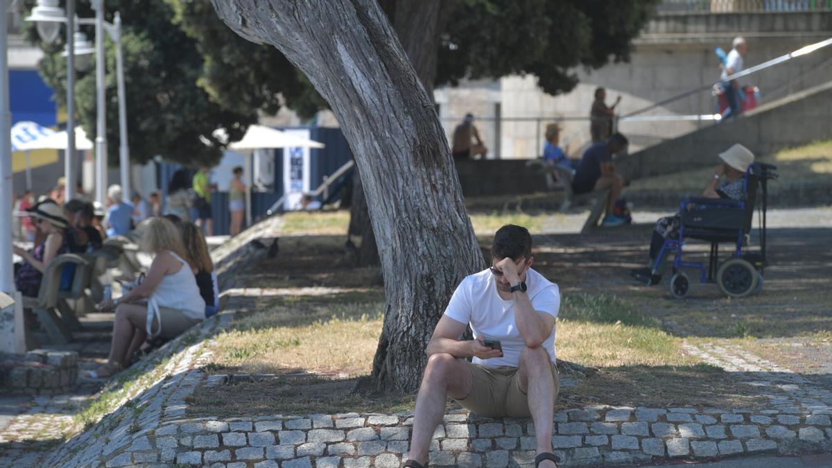 Gente en la calle a la sombra de los árboles.