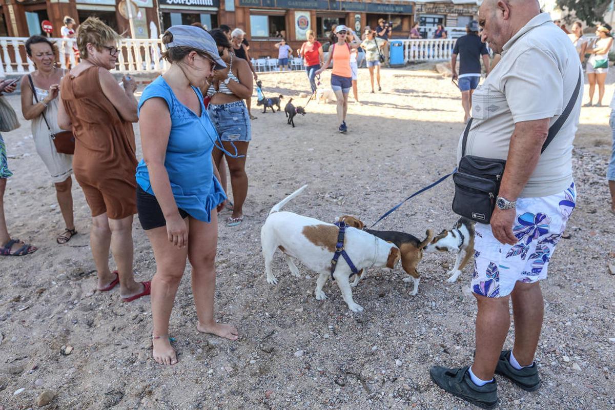Docenas de usuarios de las playas acompañados de sus perros acudieron a Punta Margallo a pedir respeto y civismo en estos tramos litorales tras los "actos de sabotaje" de las señalizaciones